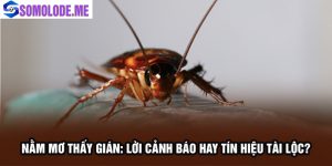 Nằm Mơ Thấy Gián: Điềm Báo Gì Và Con Số Liên Quan?